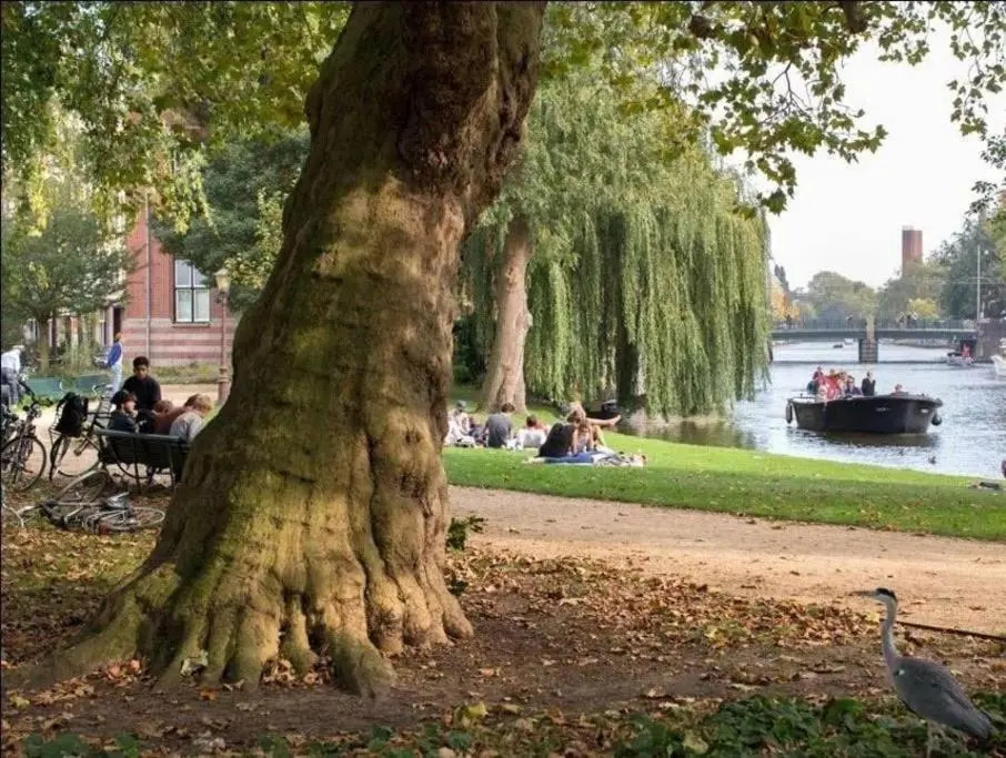 Perfect APT - Heart of Amsterdam