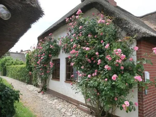 Hus an de Marsch