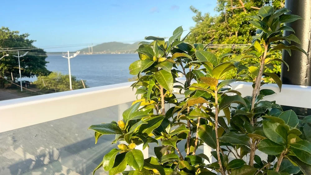 Costa Solar Lagoa