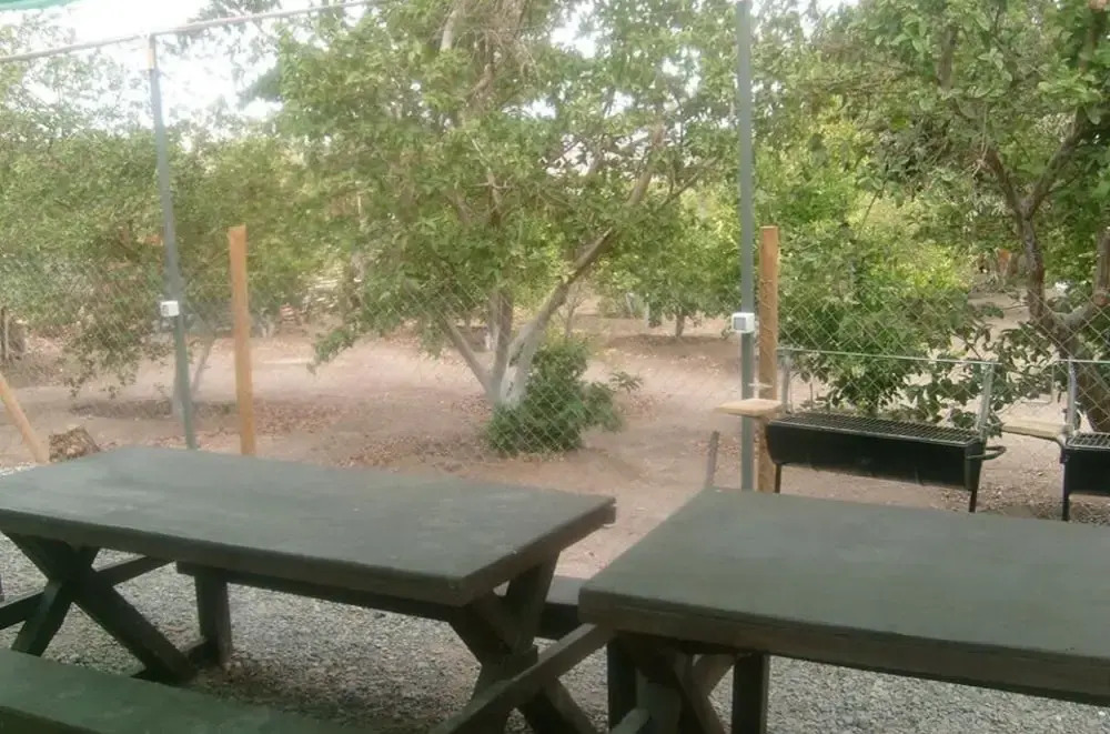 Entre Mangos y Guayabas