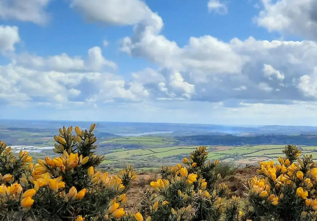 Summit Camping field, Kit Hill Rd, Cornwall BRING A TENT Stunning Views