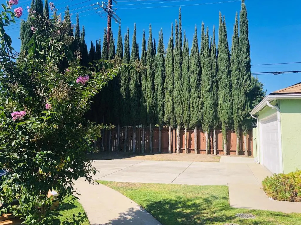 Endless summer in LA *HEATED POOL/HOT TUB/CABANA*