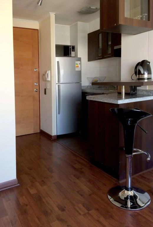 Santiago Furnished Apartments