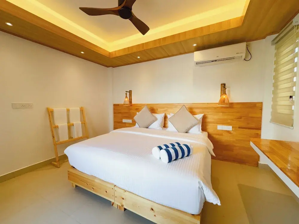 Pavona Maldives