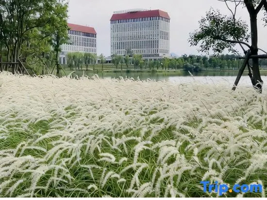 Huaxia Lakeside Resort Hotel