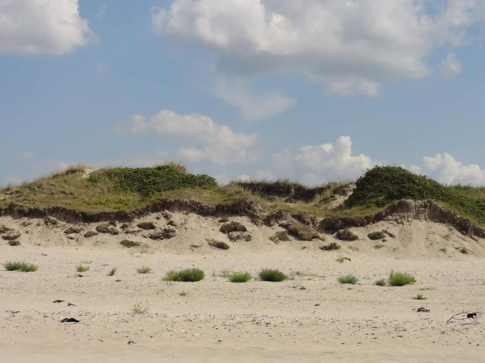 4 Star Holiday Home in Frederiksvaerk