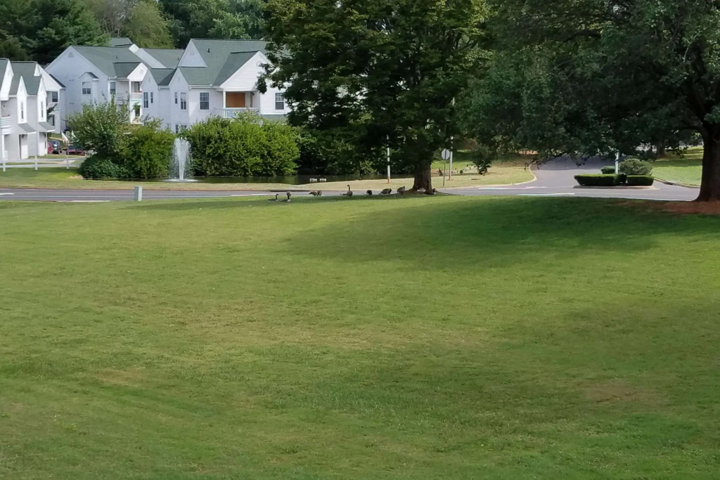 Quality Inn Culpeper