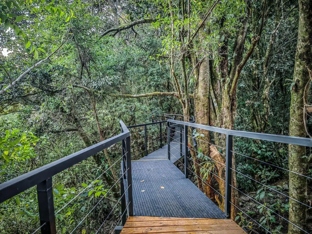 Cloud Forest Lodge