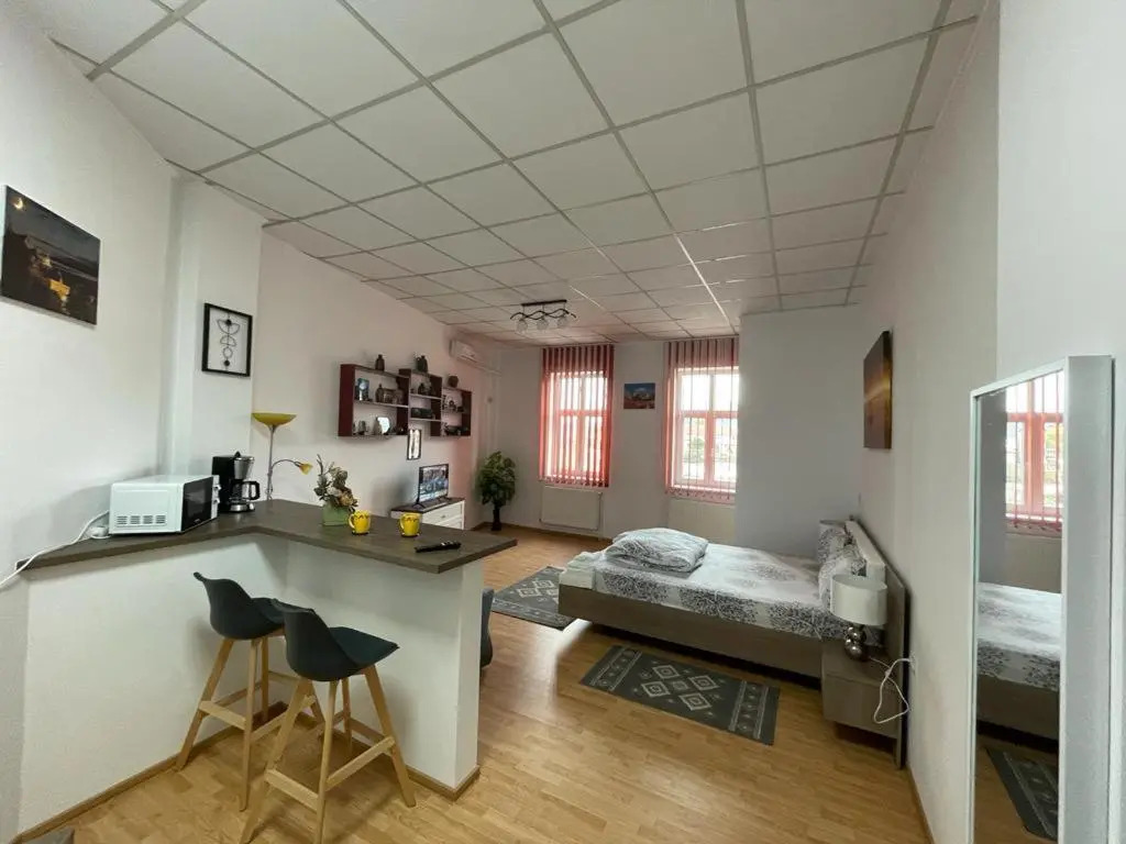 Panorama Studio Sighisoara