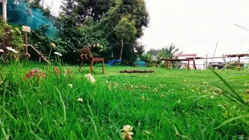 The Kodai Heaven