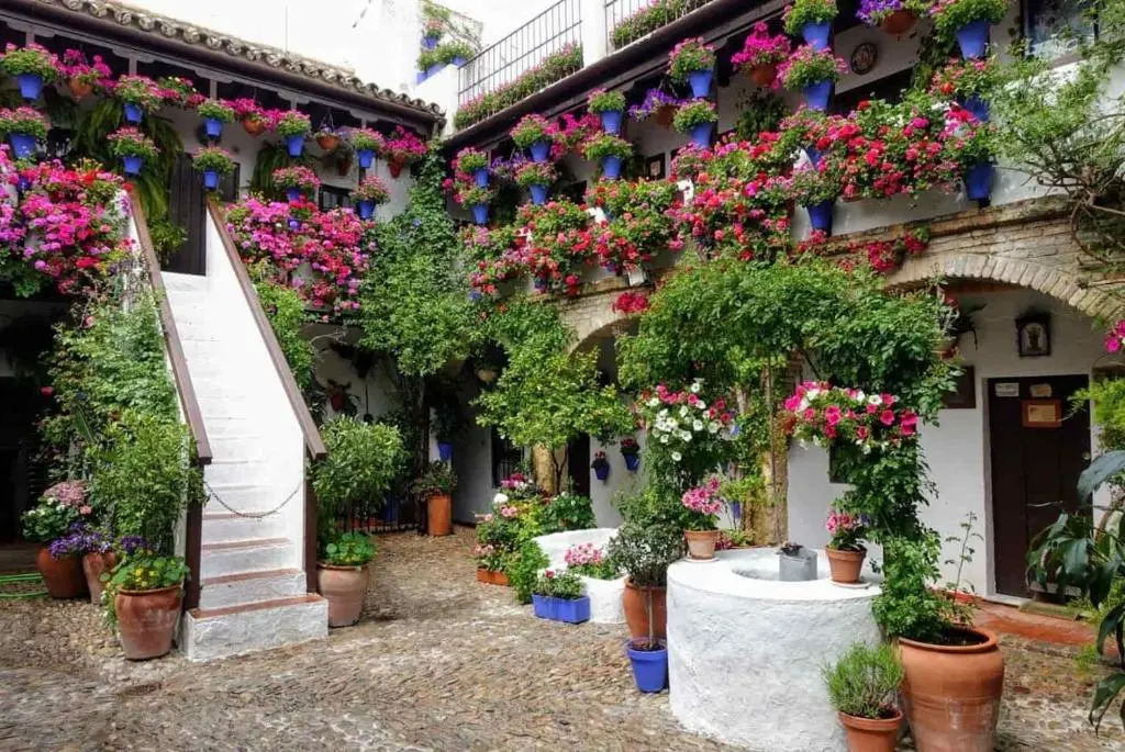 El Rincón del Abuelo