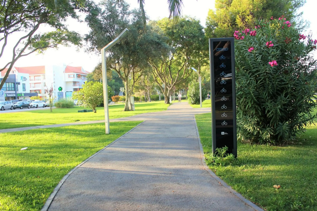 Vilamoura Dolphin Studio