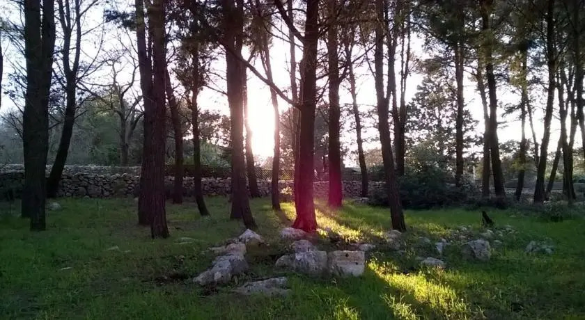 Trullo Sottoleucalipto