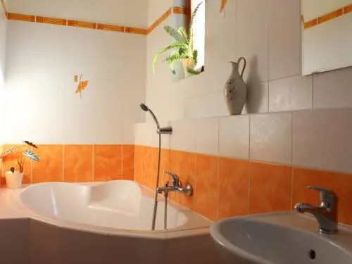 Apartments Cidlinska
