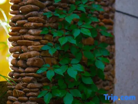 Xiandu Nongfeng Homestay