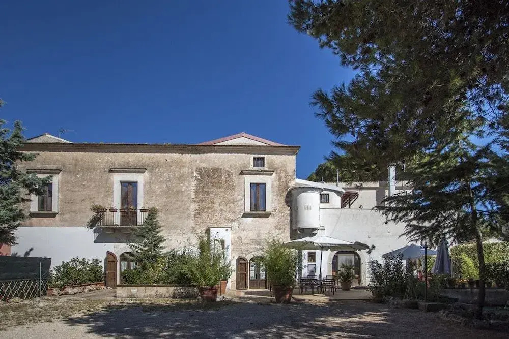 MASSERIA CITULO Il Pino grande