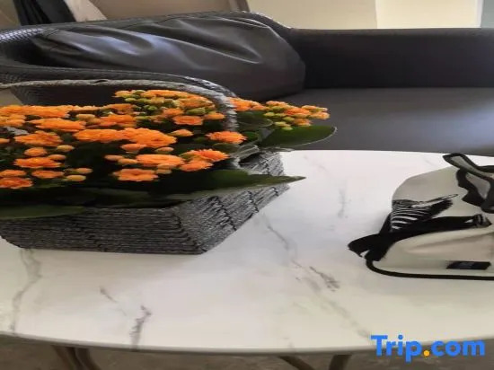 Vifan Hotel (Beijing Air Force General Hospital Cuiwei Road)
