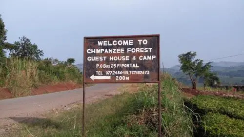 Chimpanzee Forest Guest House
