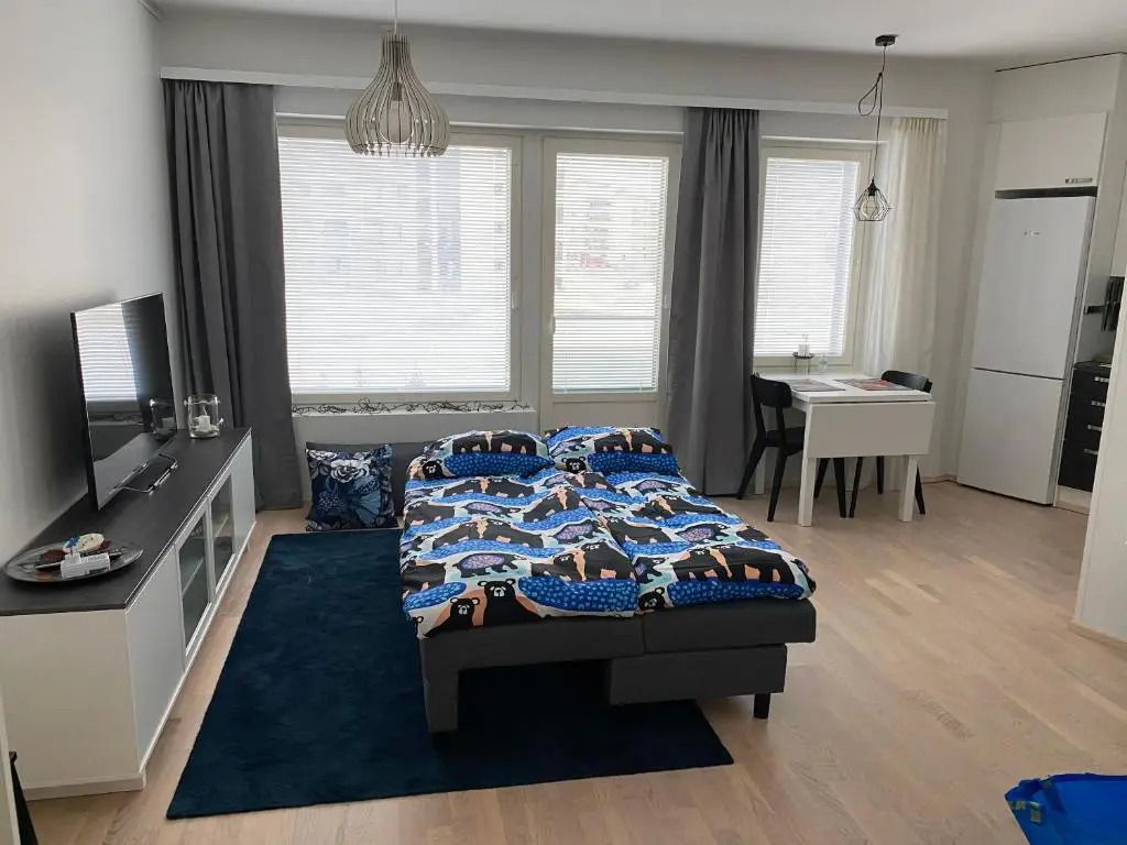 Big studio B46 for 4 people in the city center