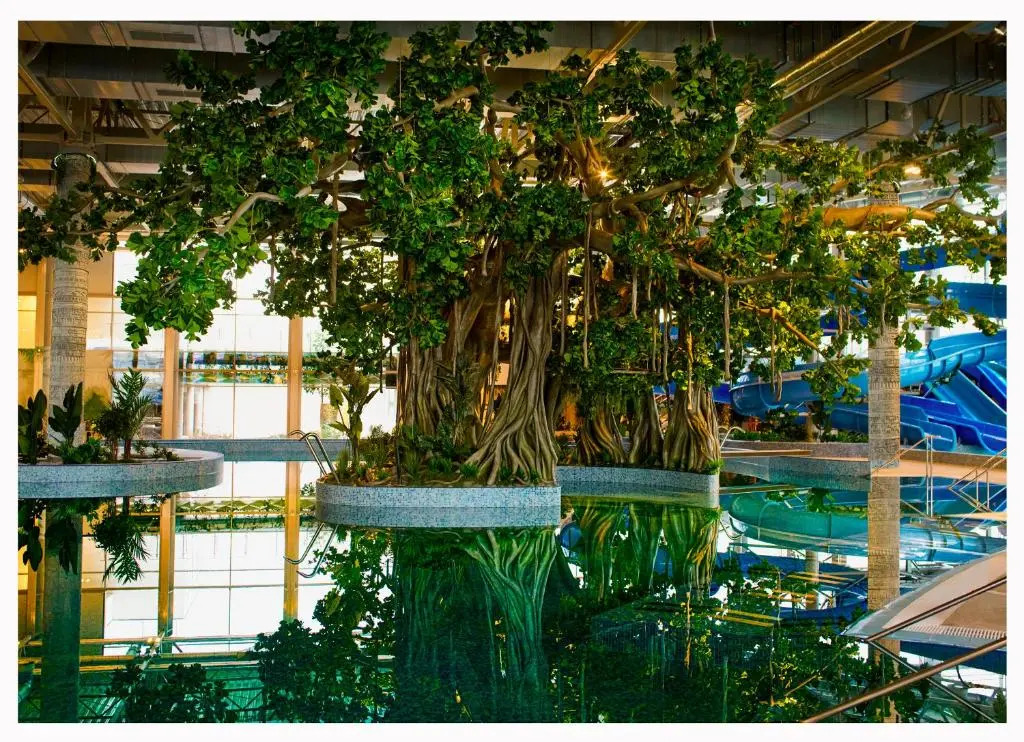 Amazonia Hotel