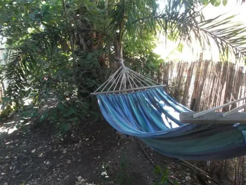 Kmo Yam In The Love Garden
