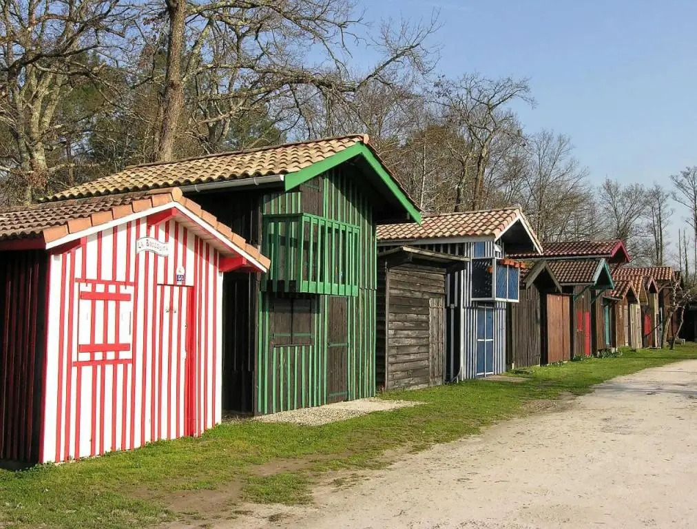 Lénoka