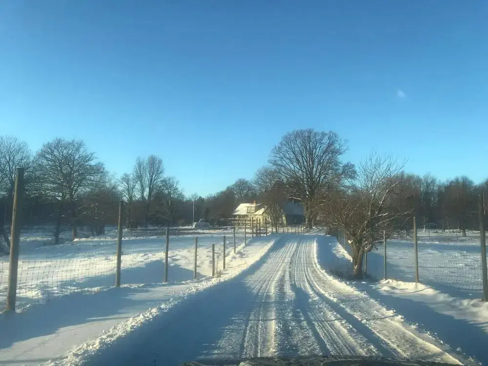 Viltpark Rollerbü Hjortaröd