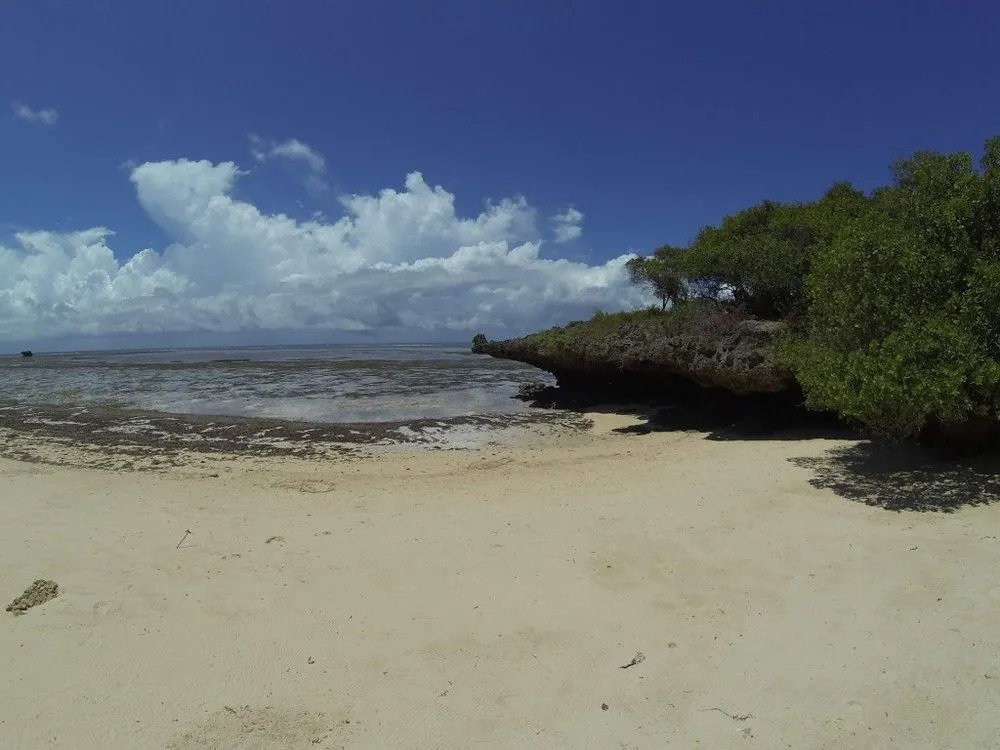 The Kasa Malindi