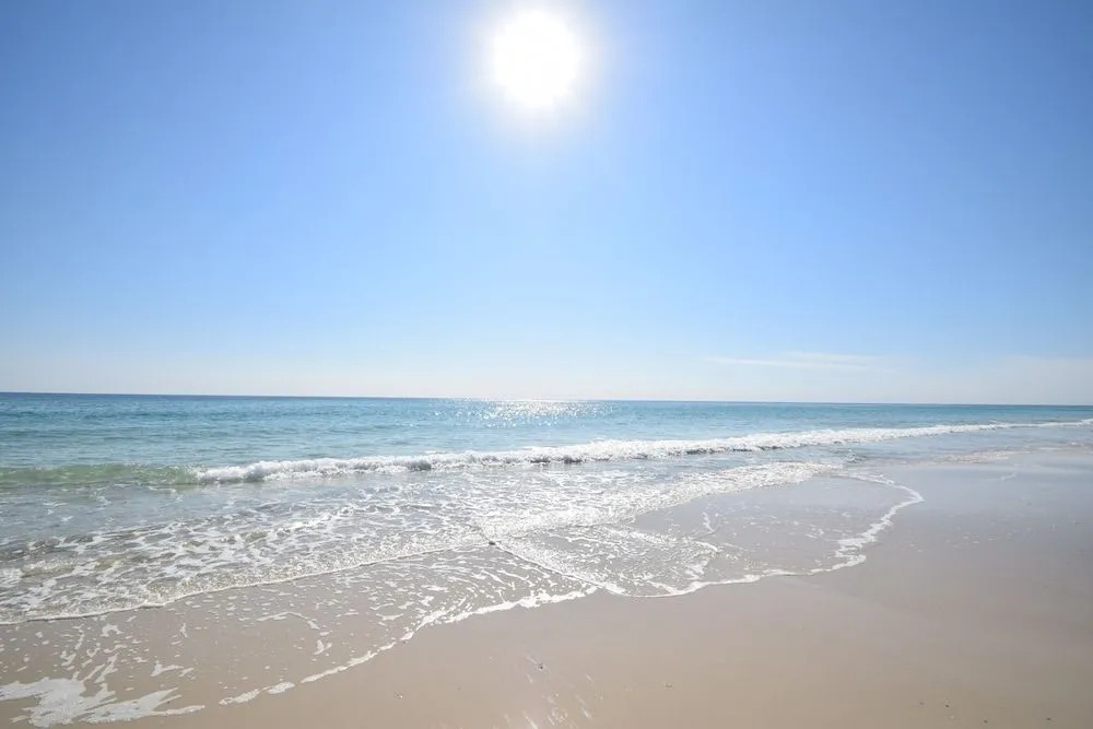 Island Shores 255 - 2 Br Condo