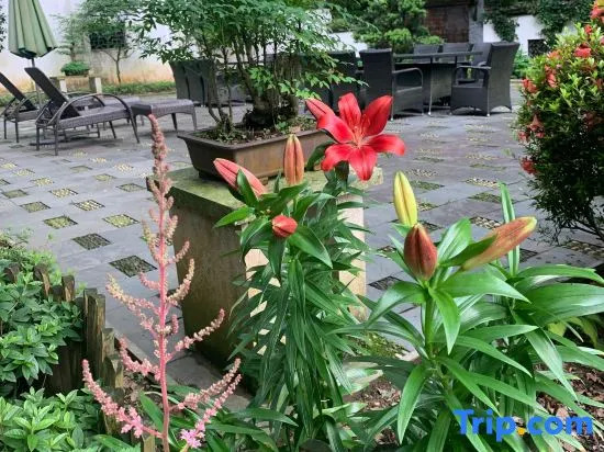 Wuyi Yangchun Shanju Guesthouse