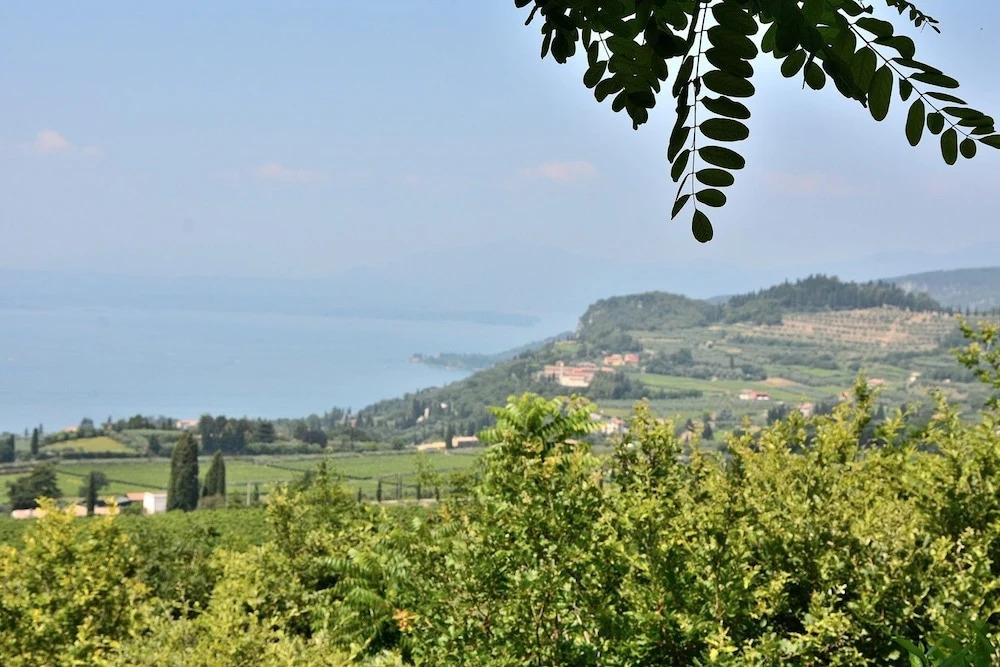 Residence Ai Vigneti With Pool