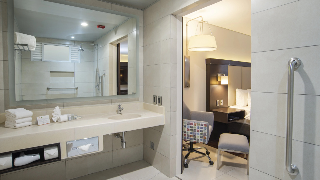 Holiday Inn Express - Mexico Basilica by IHG