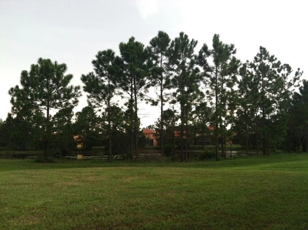 Watersong Resort Five-bedroom
