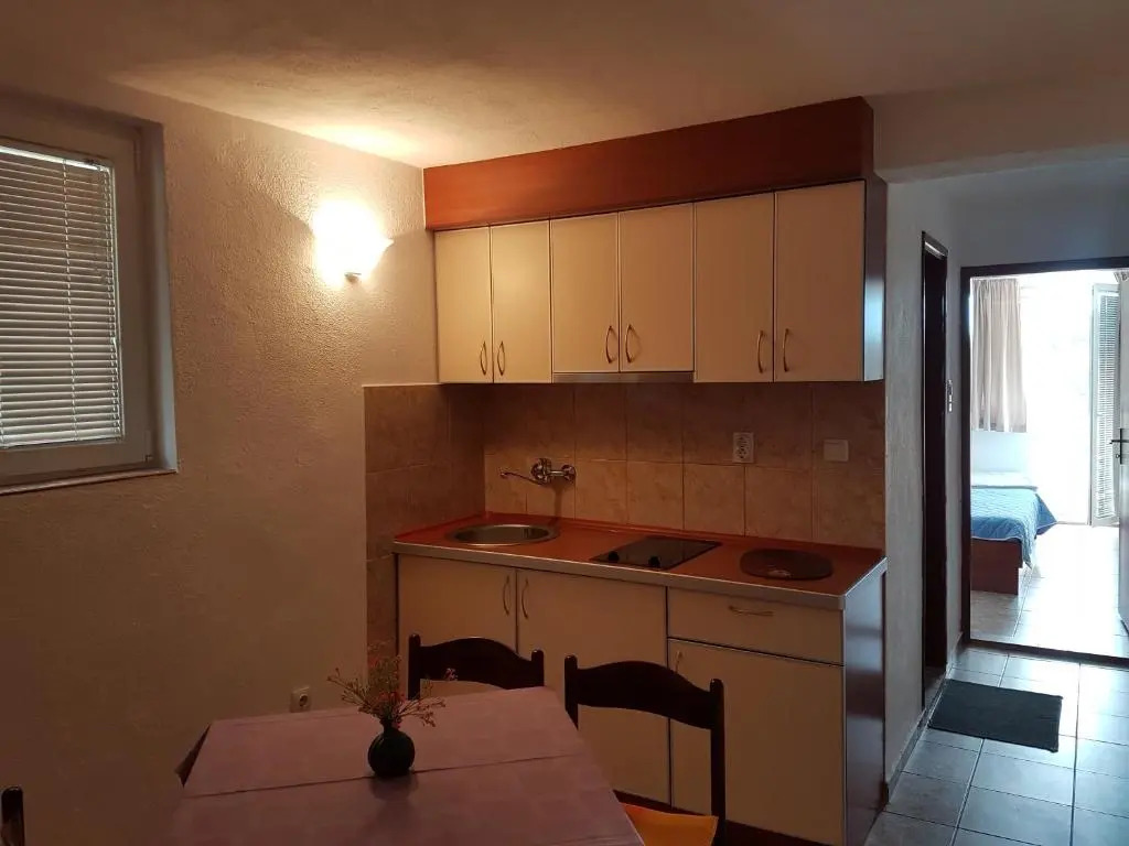 Apartment Knezevic
