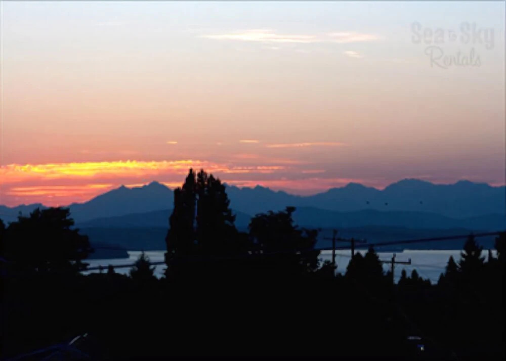 West Seattle Suite Shagalicious Studio Apartment with Balcony