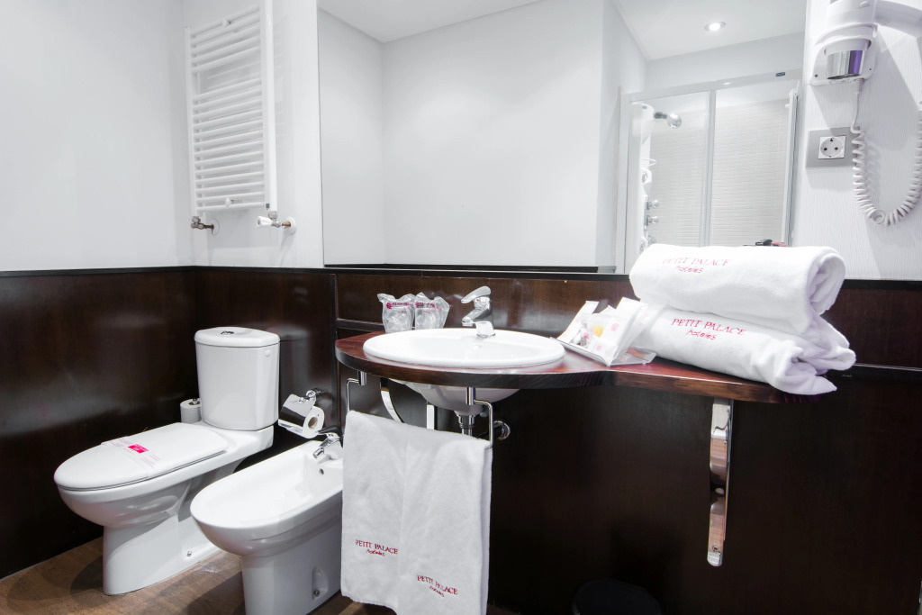 Petit Palace Arana Bilbao