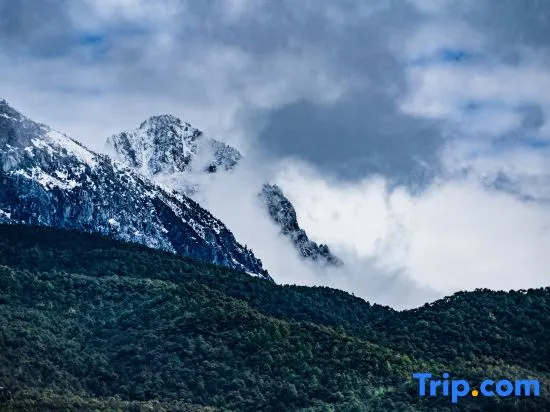 Listening to the wind · Courtyard Green Forest Rizhao Jinshan View Inn (Yulong Snow Mountain)
