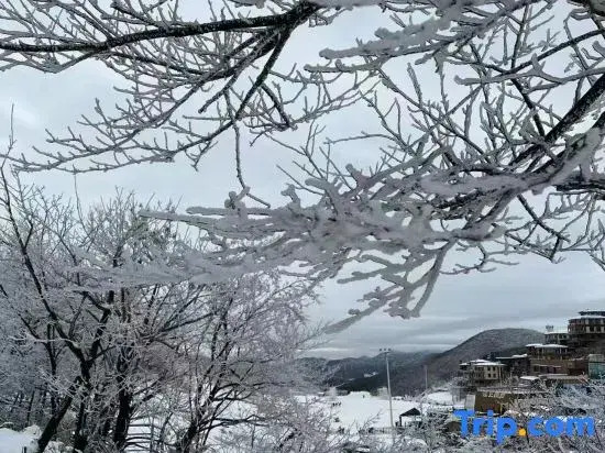 Jingxinju Guesthouse
