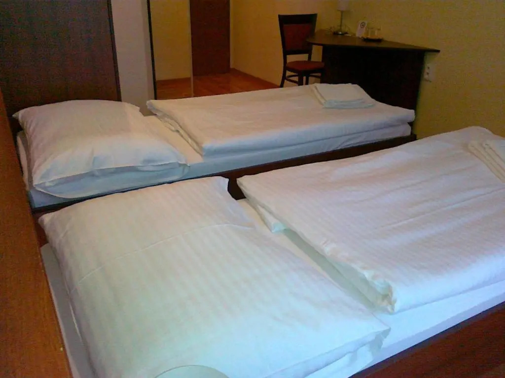 Hotel Arli