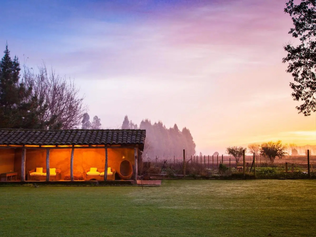 NOI Blend Colchagua