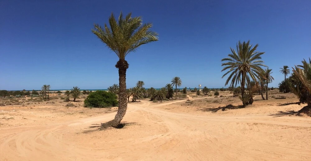 Villa With 4 Bedrooms in Djerba Island, With Wonderful sea View, Priva