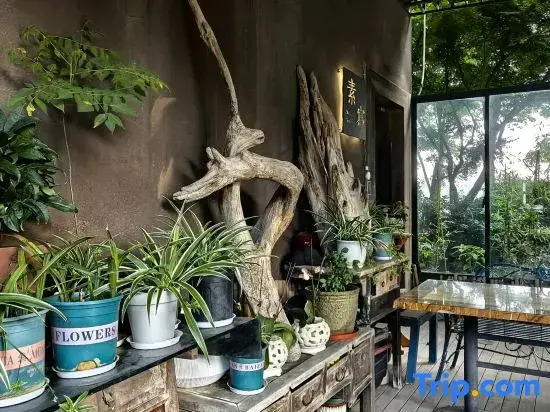 Suxie Art Guesthouse
