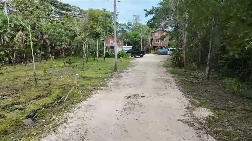 Howler Jungle House