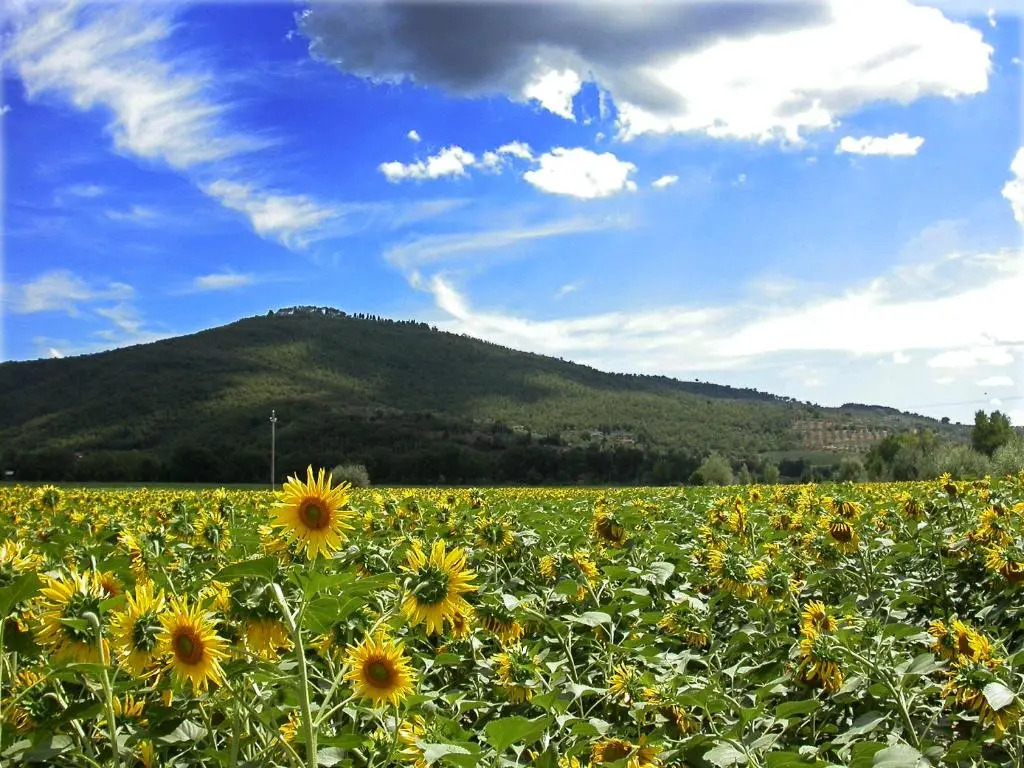 Holiday Home Il Moro Novo