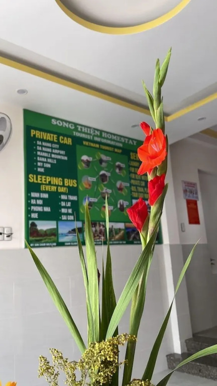 Song Thiện Homestay
