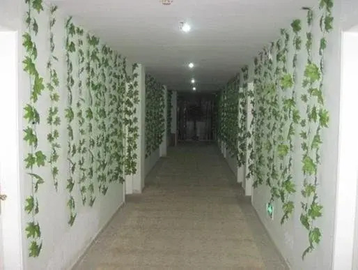 Hong Jian Hotel - Guangzhou