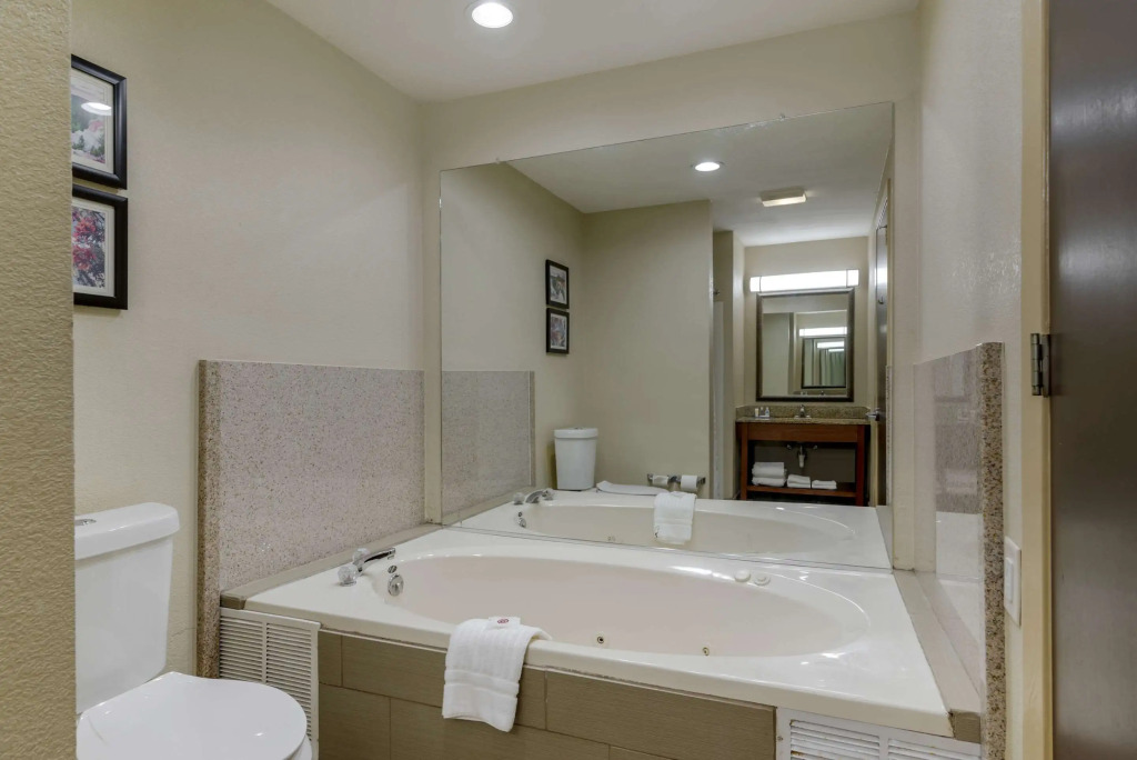Comfort Suites Columbus State University Area
