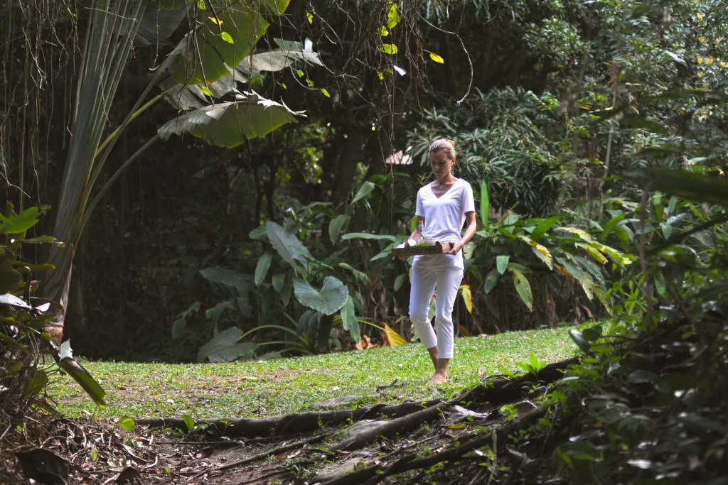 Belle Mont Sanctuary Resort - Kittitian Hill