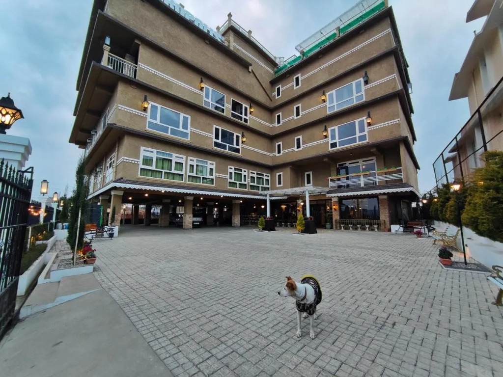 Hotel Acropolis