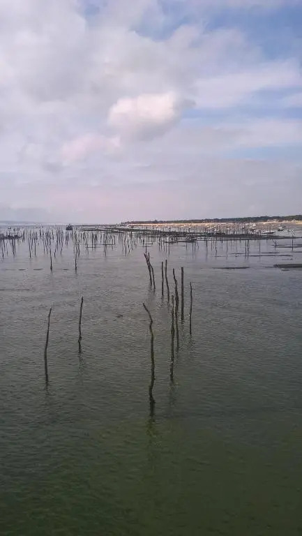 Les Calicots Sanguinet
